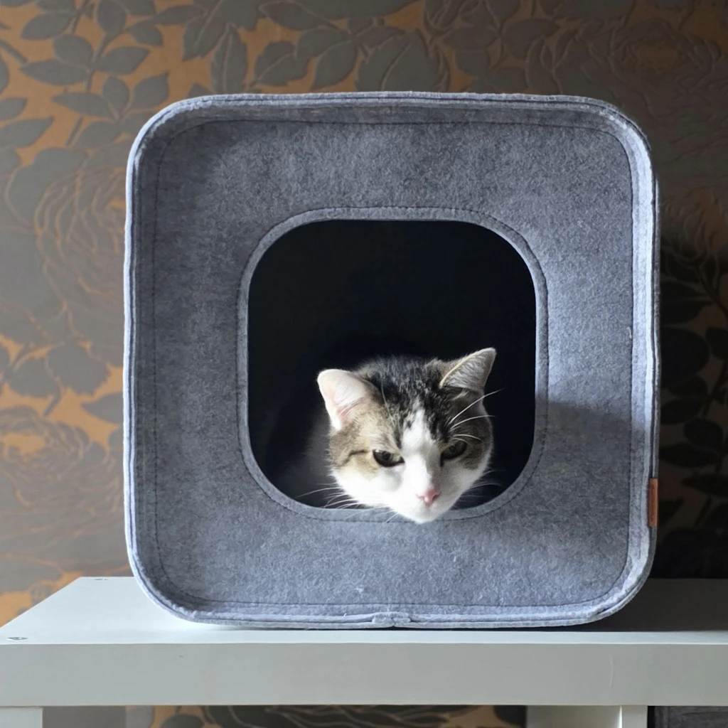 Katzenhöhle aus Filz nach Maß mit gerundeter Öffnung, Katze schaut heraus