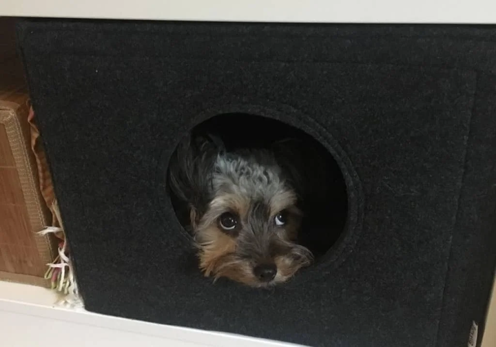 Hundehöhle aus Filz