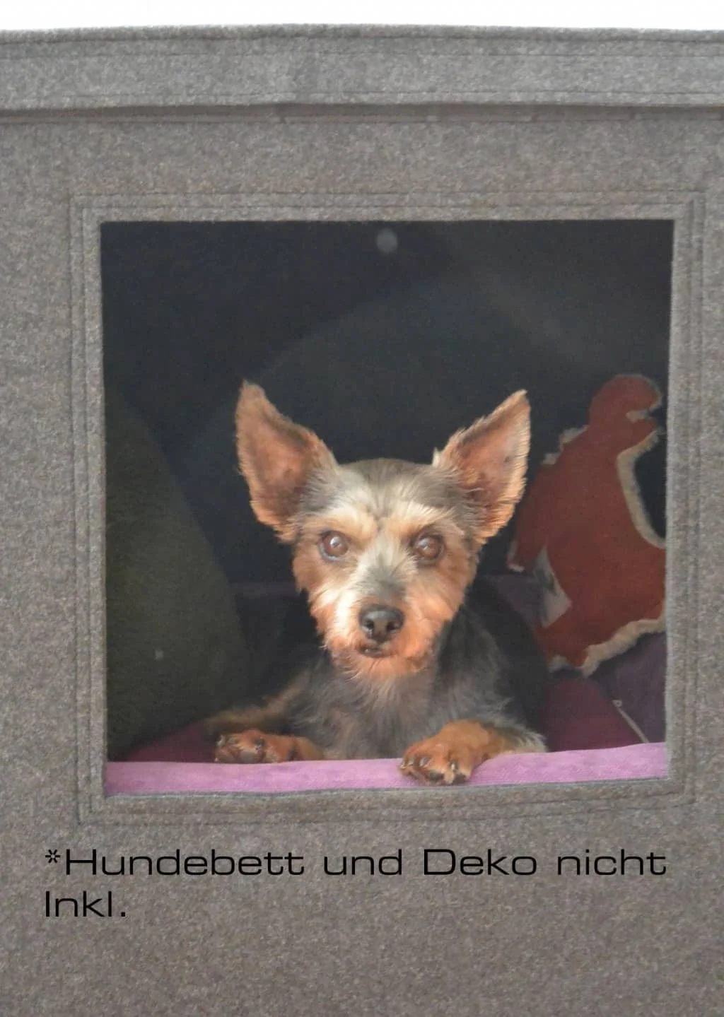 Hundehöhle aus Filz