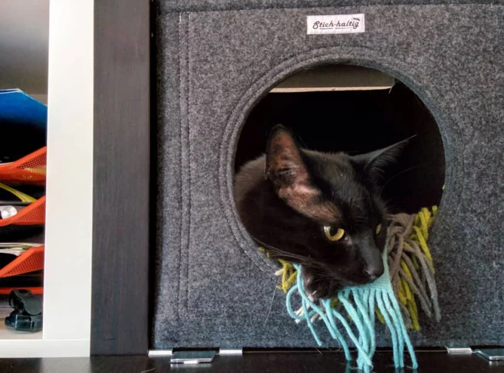 Katzenbett mit Katze
