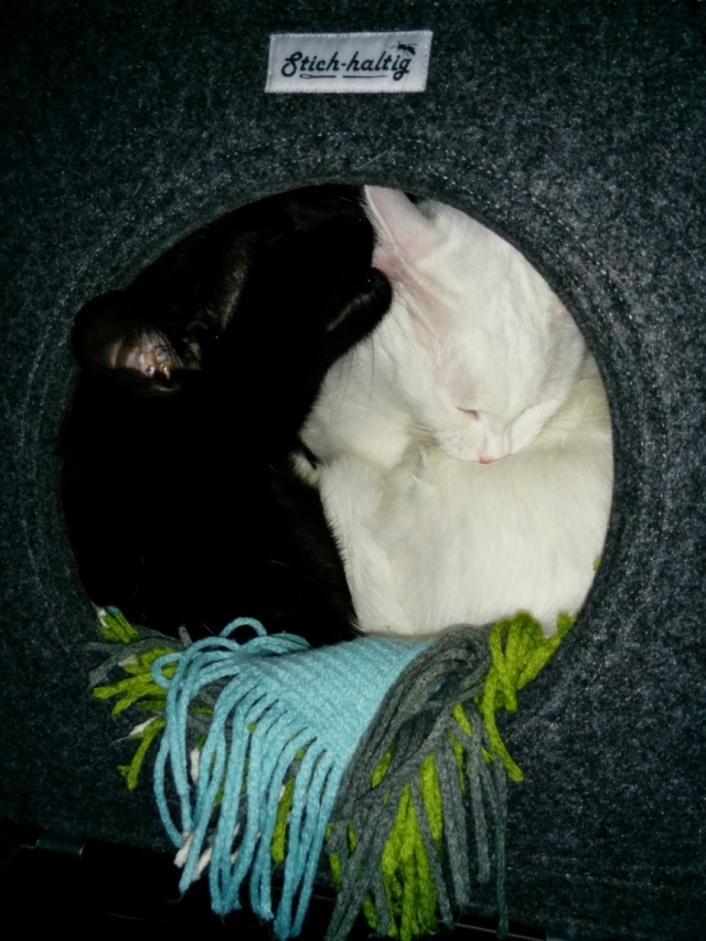 Katzenhöhle
