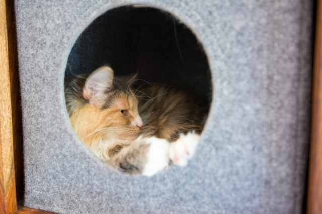 Katzenhöhle aus Filz hellgrau passend Expedit & Kallax