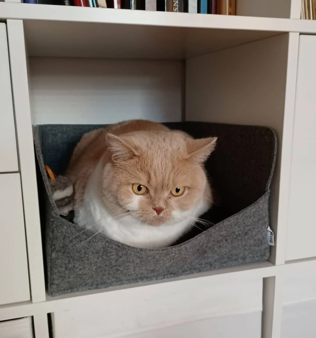 Katzenbett Einschub für Kallax
