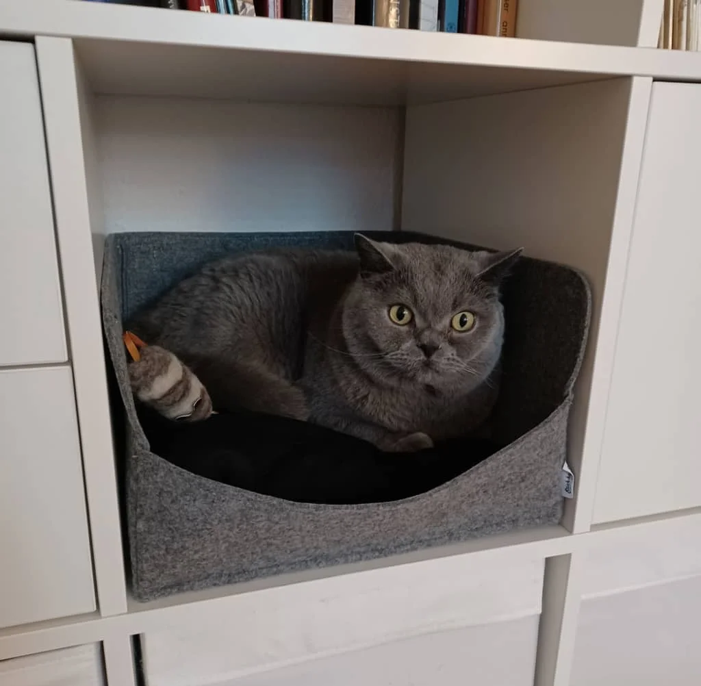 Katzenbett Einschub für Kallax