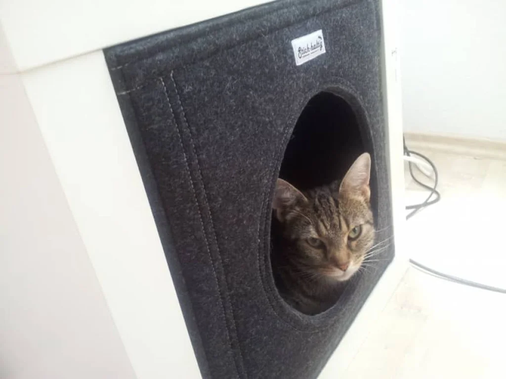 katzenkorb kallax