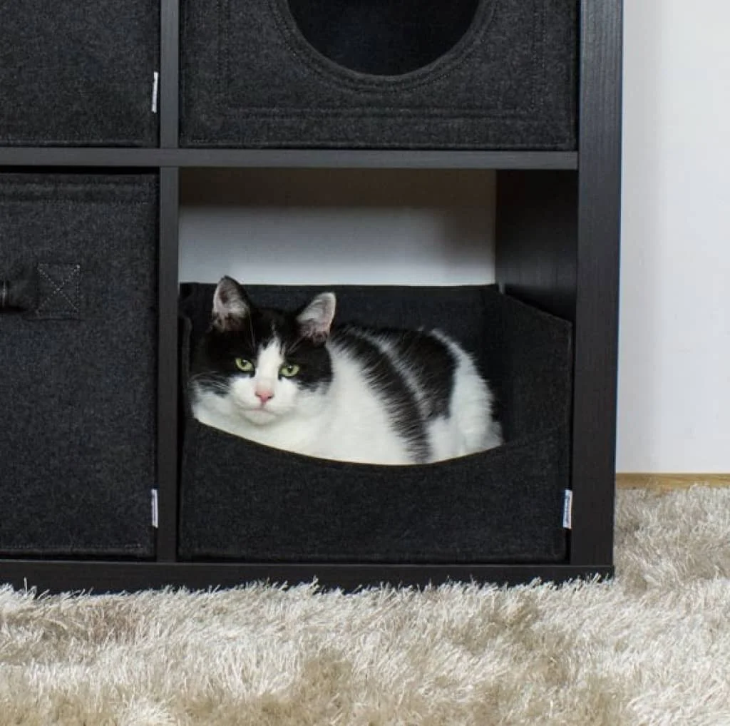 Katzenbett für Ikea Kallax2