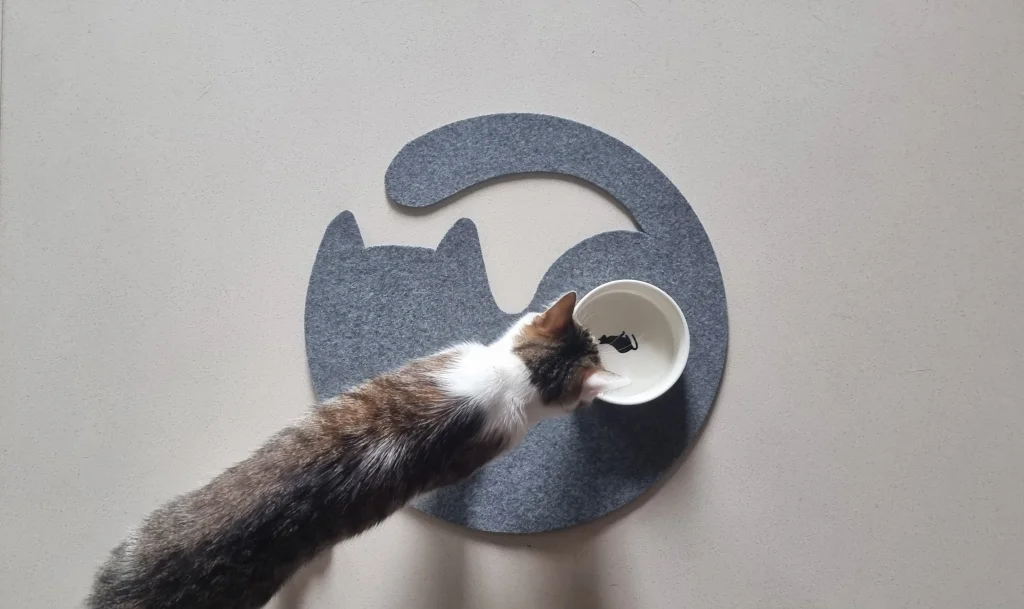 Filzmatte Katze