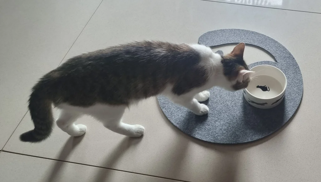 Unstersetzer aus Filz Katze