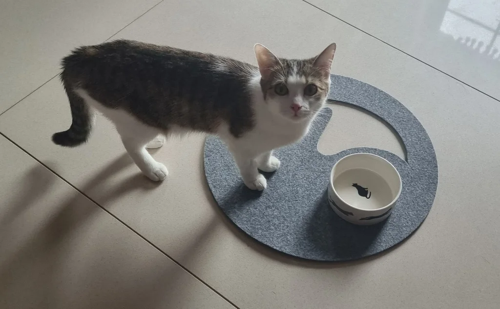 Unstersetzer aus Filz Katze