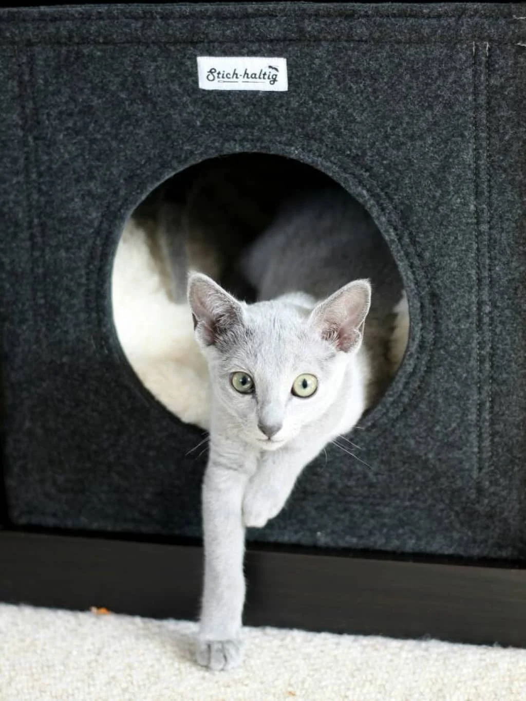 Cat cave felt stich-haltig
