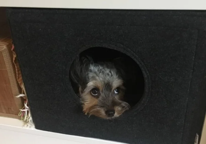 Hundehöhle aus Filz