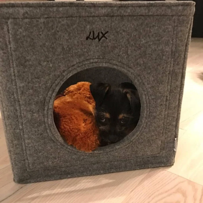 Hundebett Filz