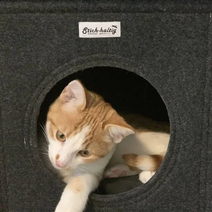 Katzenbett