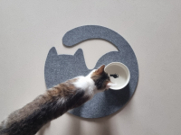 Filzmatte Katze