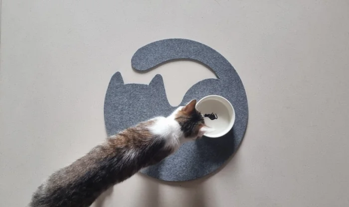 Filzmatte Katze