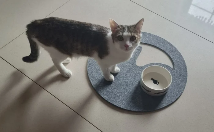 Unstersetzer aus Filz Katze