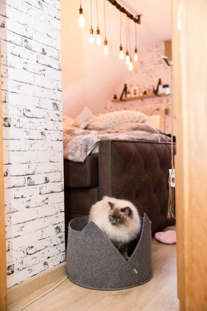 Katzenbett mit Ohren