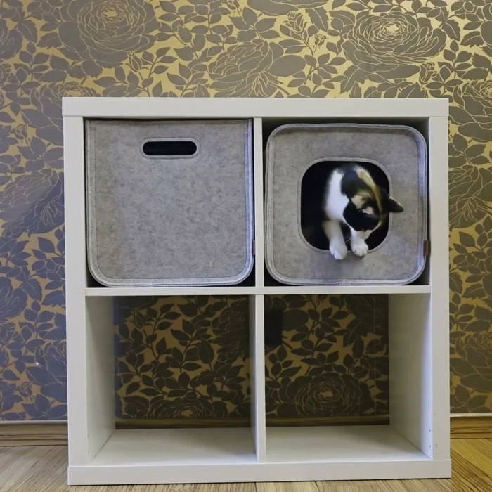 Katze schaut aus der Katzenhöhle aus Filz im IKEA Kallax
