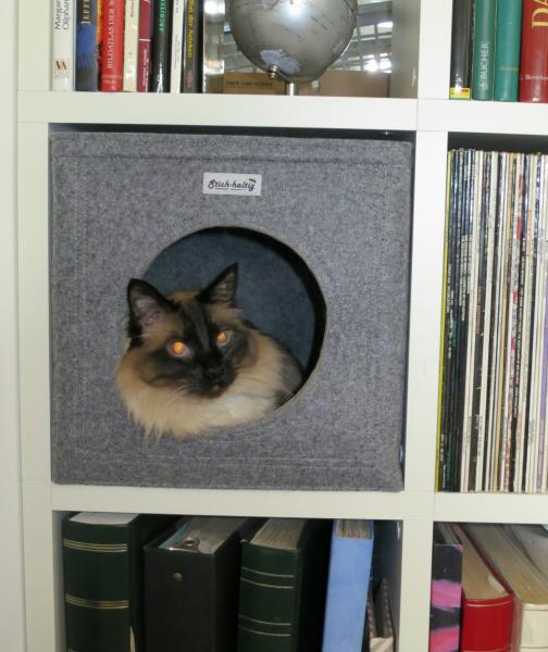 Katzenhöhle im Boon-Regal